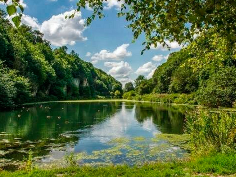 sherwood forest